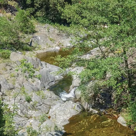 Nojaret * Bonnevaux-et-Hiverne