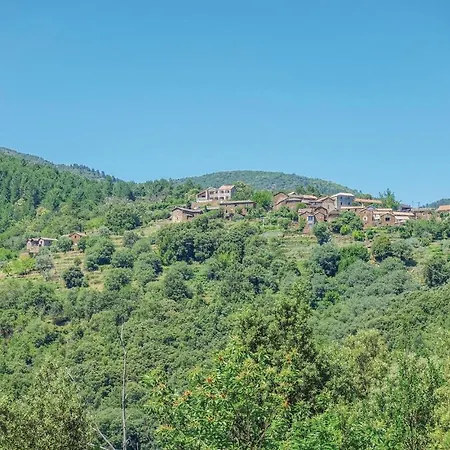Nojaret * Bonnevaux-et-Hiverne